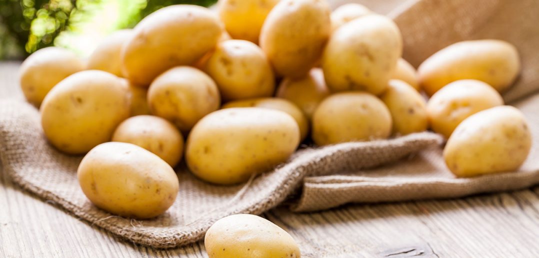 Farm Fresh  Potatoes On A Hessian Sack