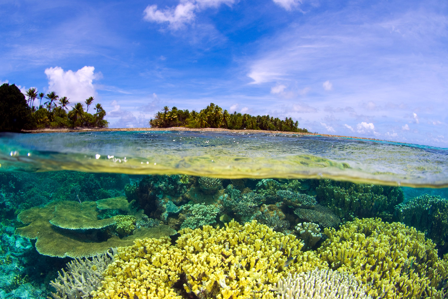 Барьерные острова. Атолл бикини Маршалловы острова. Атолл бикини (Bikini Atoll), Маршалловы острова. Атолл коралловый остров. Атолле бикини в тихом океане.